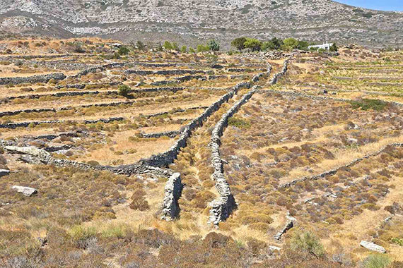 Περιπατητικός τουρισμός στην Πάρο