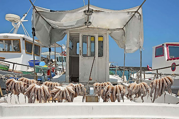 Χταποδάκια λιαστά